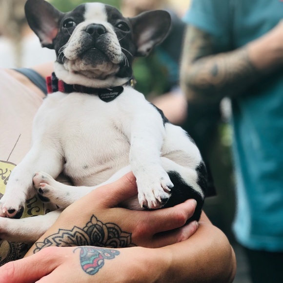 Meet your Posher, Jordan - Picture 3 of 8